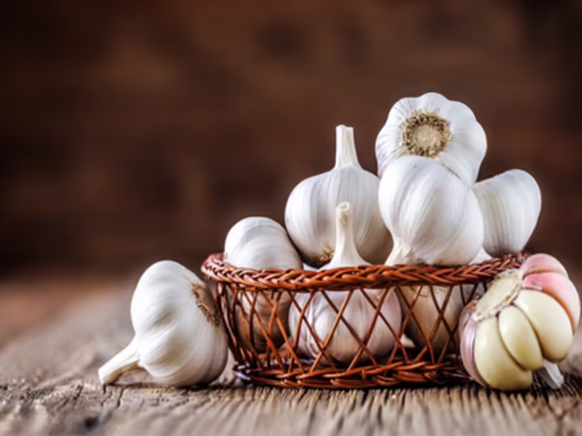 Garlic (Allium sativum L.): a comprehensive review of its therapeutic potential